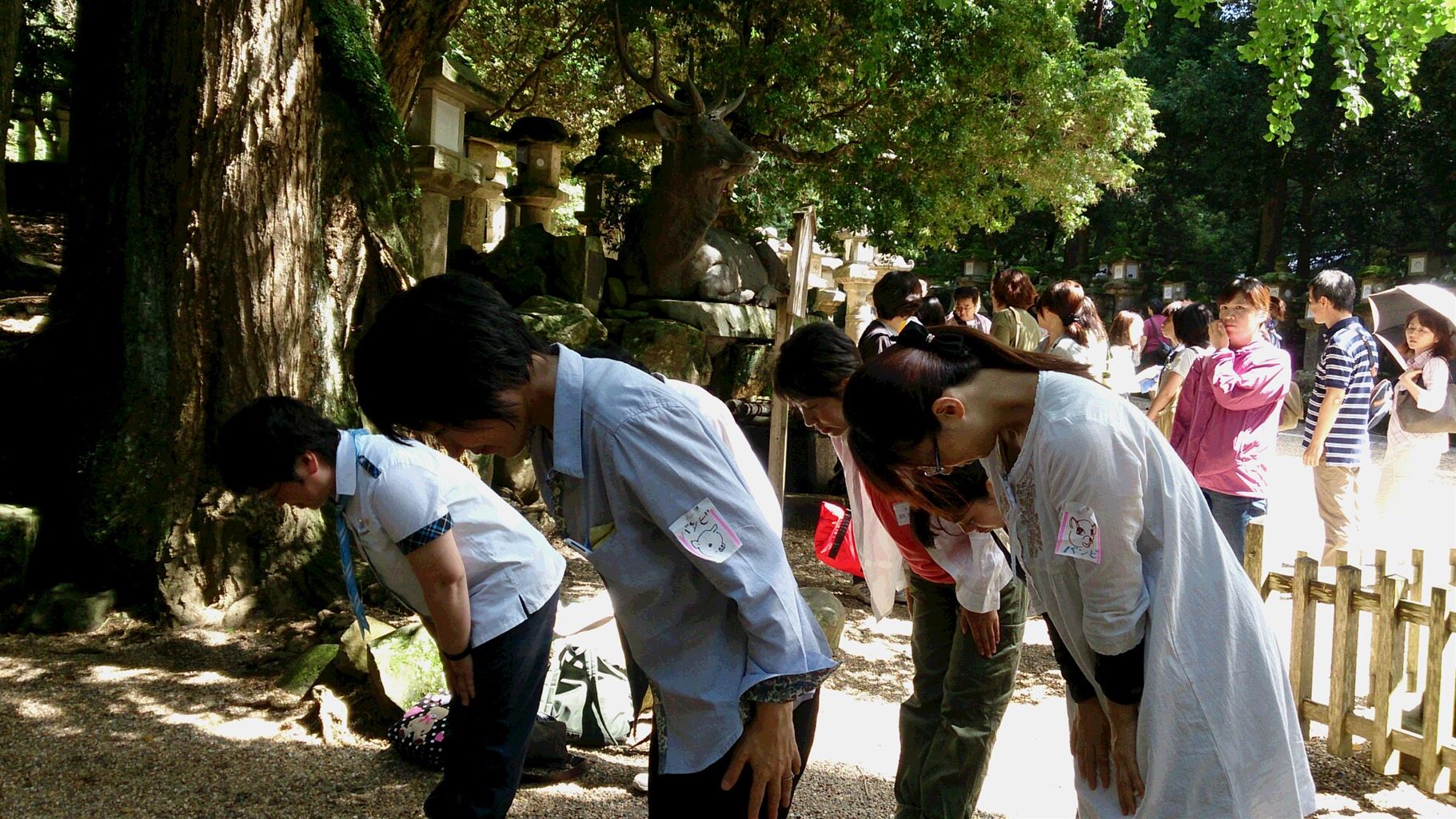 5 奈良県のガールスカウト情報交換ブログ